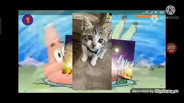 SpongeBob Russian Main Drain Add Round 2