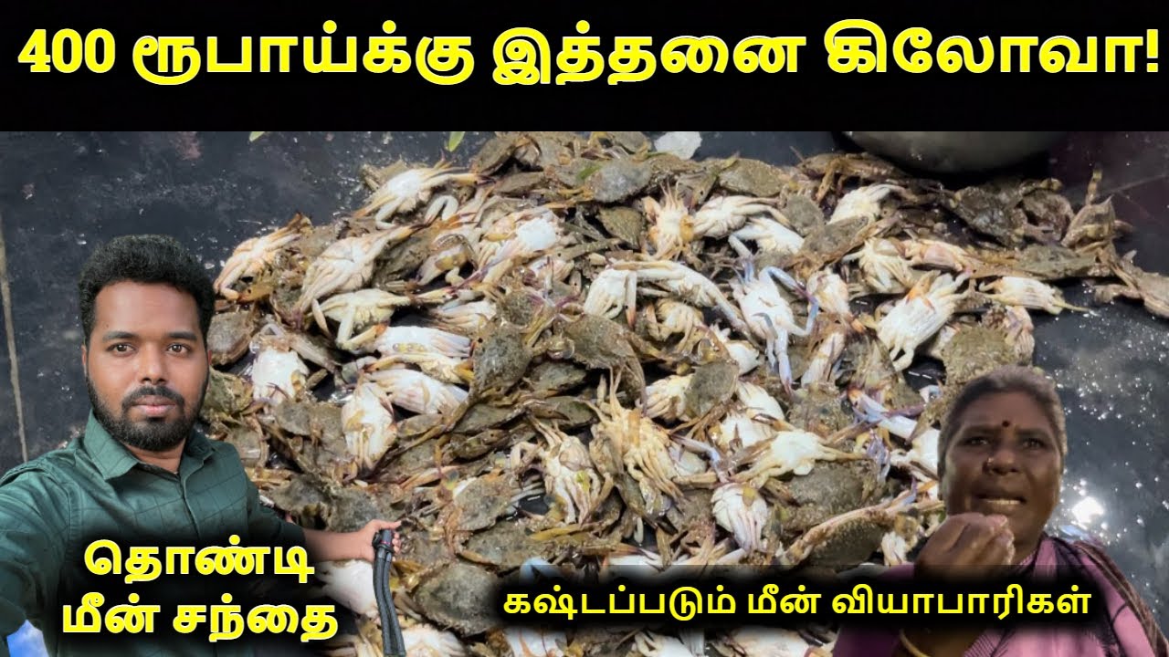 400         Thondi Fishing Harbour  Ajith Vlogger