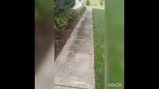 Softwash & concrete cleaning. Before & After @kinganklean8791 screenshot 5