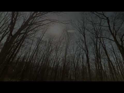 20 minutes of shaky camera walking through the woods with Boba