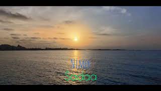 Nimer - Sadaa