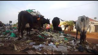 Agabuutikidde Omuloodi w’ekibuga Lukwago mweraliikirivu olw’obukyafu obwolekede okujula mu kibuga