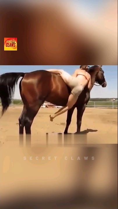 This Horse Went Viral After This Video #animals #viralvideo