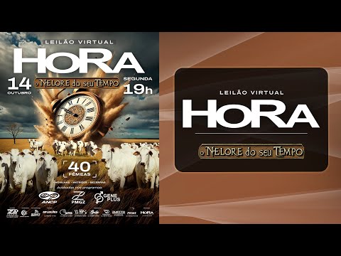 LOTE 19