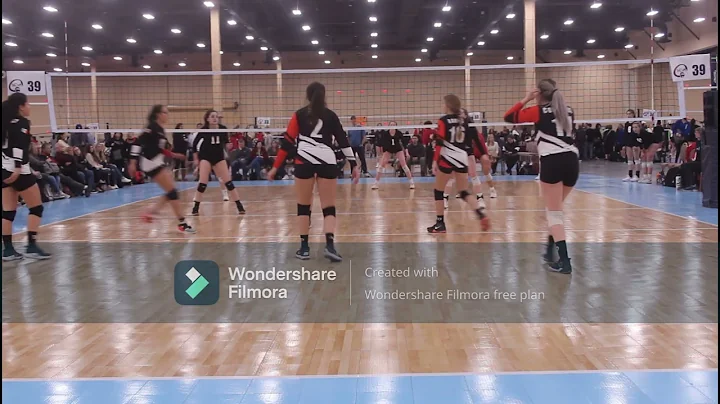 Alejandra Briseo - Volleyball (New Highlights)