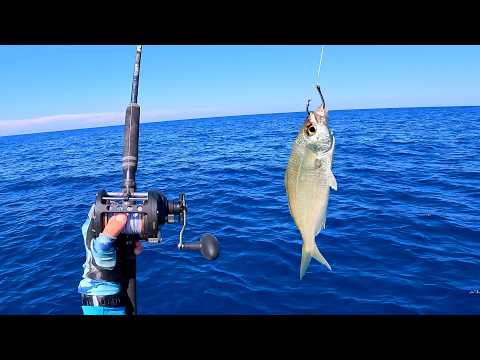 The Snapper Couldn't Resist These Baits - Offshore Florida Fishing