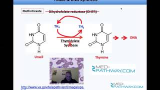 Med-Pathway MCAT Prep Biochemistry & Physiology of Vitamins. High Yield for MCAT, Med School& Life