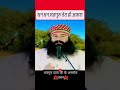 pita ji ke vachan #saintdrmsg #guruji #msgshabad