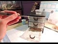 Mealworm Breeding DIY