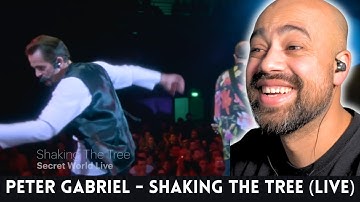 Shocking Performance! Peter Gabriel - Shaking The Tree (Live) | Guitarist Reaction
