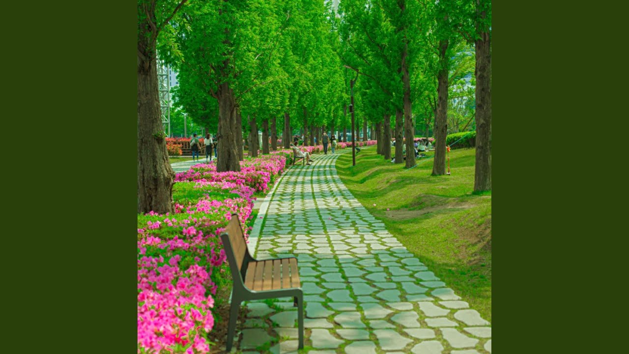 Guarda Reflect su YouTube Guarda Reflect su YouTube