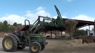 Un día en una vaquería ecológica