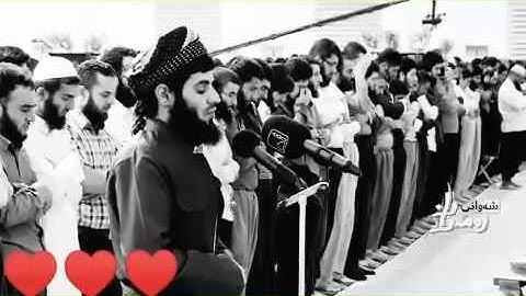 الشيخ / رعد محمد الكردي ما تيسر من سورة ابراهيم عليه السلام من الآية (28-30)