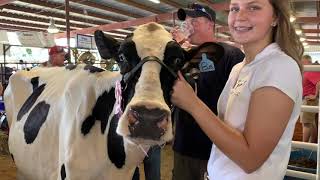 2019 Town & Country Fair Highlights