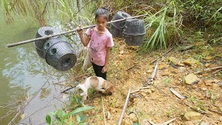 Poor Girl In The Forest Dig Worms As Bait And Bagua Cages - Catch Fish, Shrimp, Crab, Snail To Sell