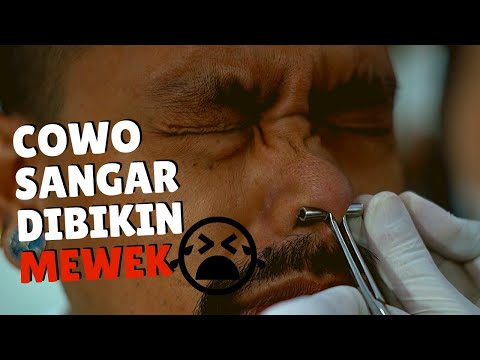 Video: Apakah septum menembus tulang rawan?