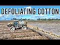 Cotton defoliation time  vlog 272