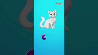 ABC Flashcards for Toddlers🤩 | Babies First Words & ABCD Alphabets for Kids