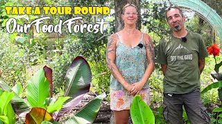 TOUR our FOOD FOREST and how to build a hoop house to GROW TOMATOES - Our Food Forest YEAR 1 - EP4