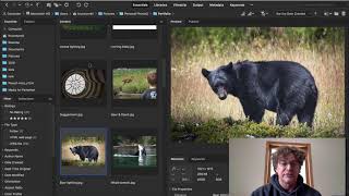 Intro to Photoshop, Lesson 2, pt 2-What is Adobe Bridge? ...and why my students don’t need it…Yet.