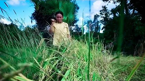 Survival Girl, Amazing Living Alone 100 Days on Treehouse Real Life in Jungle