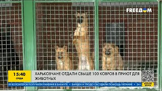 Харьковчане отдали свыше 100 ковров в приют для животных