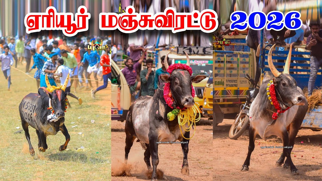 ஏரியூர் மஞ்சுவிரட்டு 2026