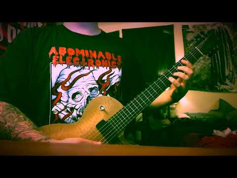 vein - virus://vibrance (guitar cover)