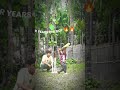 cricket playing#viral#shorts#trending#shorts#virat kohli#shot#viral#videos