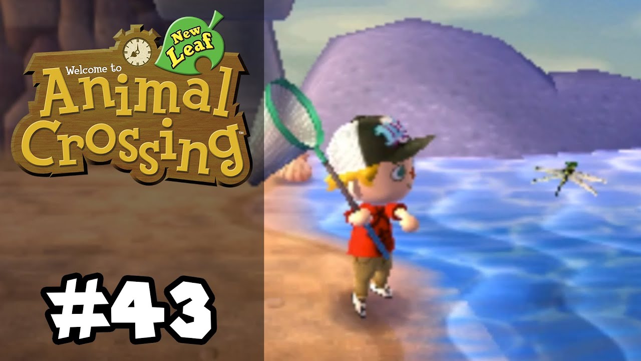 The Great Summer Catch Up (Week 1: July Bug Catching Special) in Animal ...