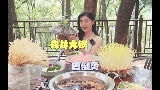 重庆森林里吃火锅烫毛肚，20几年老店手工炒料，鲜香麻辣巴适得很