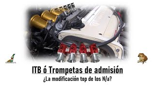 ITB o trompetas de Admisión. Una pieza de alto rendimiento