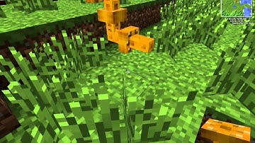 Tekkit-how to fill your pool with out bucket