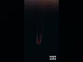 TMPST, Maynørr, Jessie Lee Thetford – Witness | Summer Sunset Wake Selection 🌅⚡