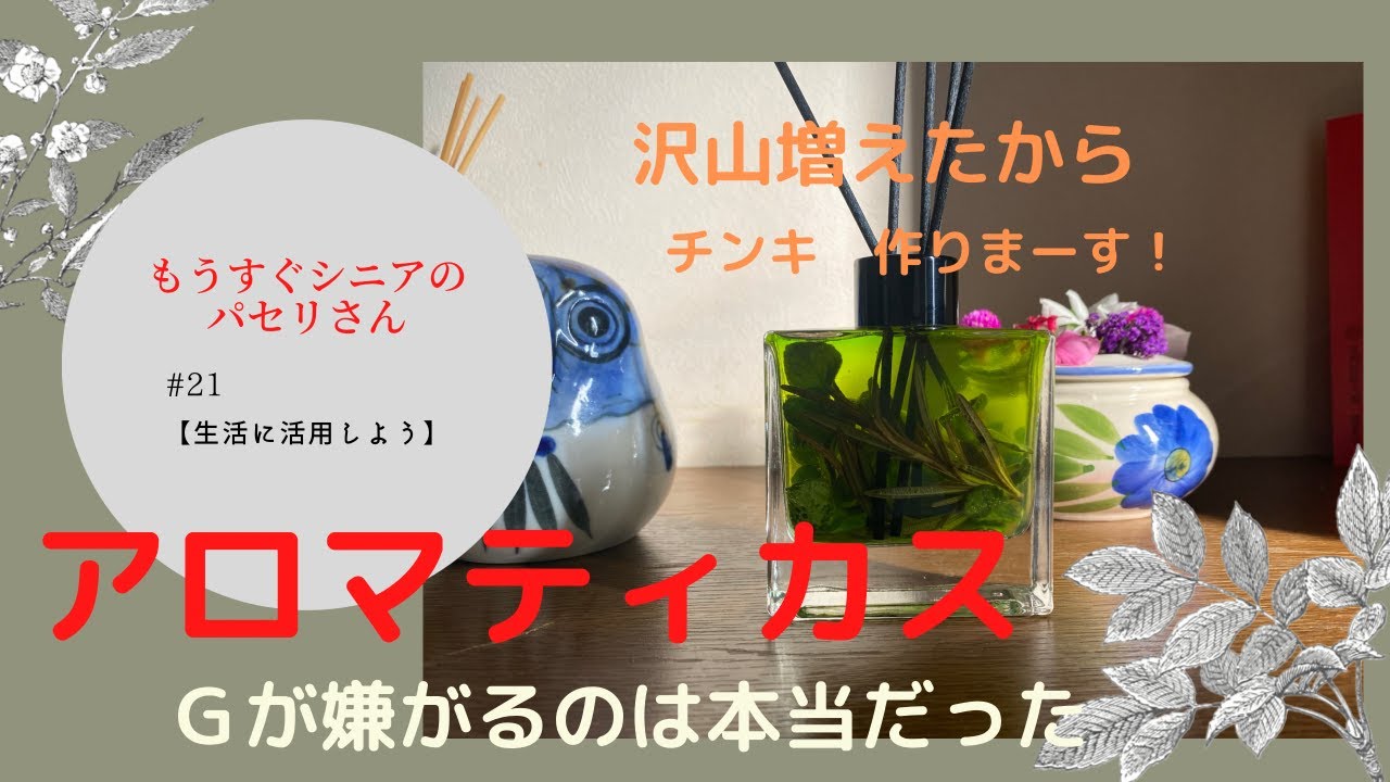 【アロマティカス活用法】増えた葉っぱでチンキ作り/本当にGが出なかった今年の夏