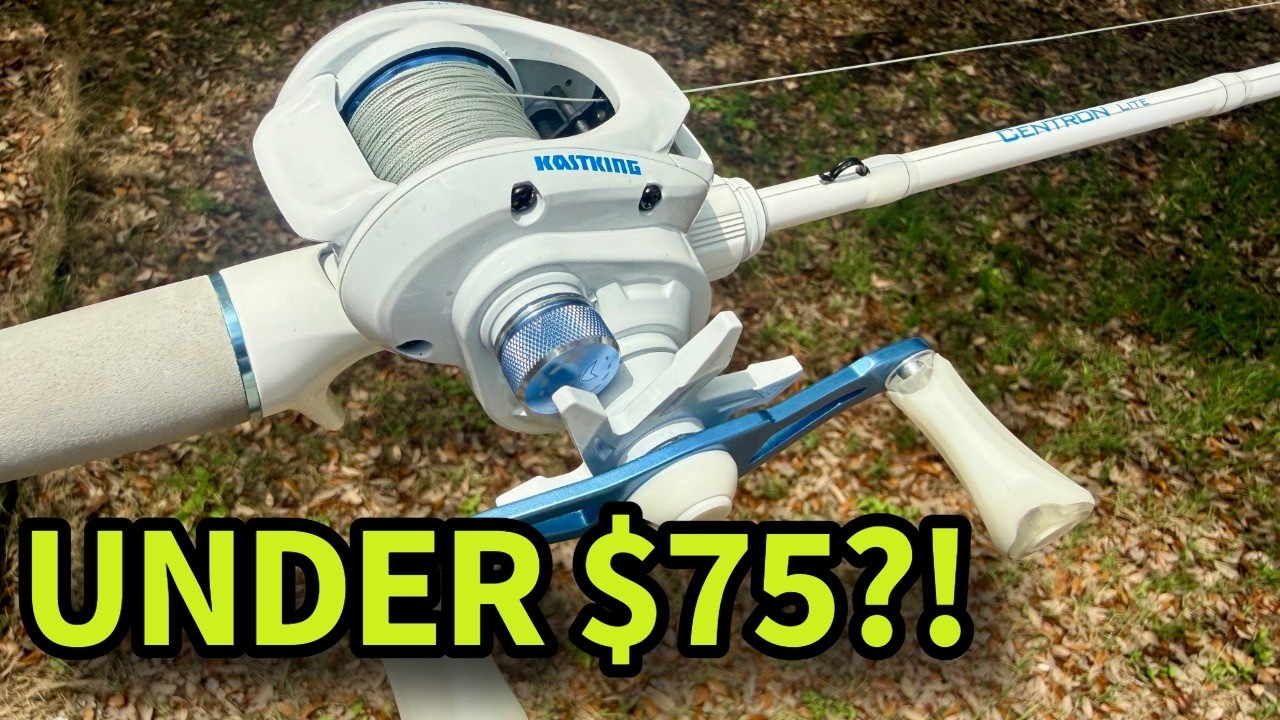 best baitcasting reel under 75 dollars Shimano ANT100XGB Antares B The Ambassadeur STX round reel delivers the ultimate combination of value and smooth performance in a durable package The Best Baitcasting Reels Under