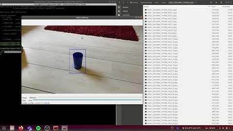 Yolo Darknet labelling with objects tracking