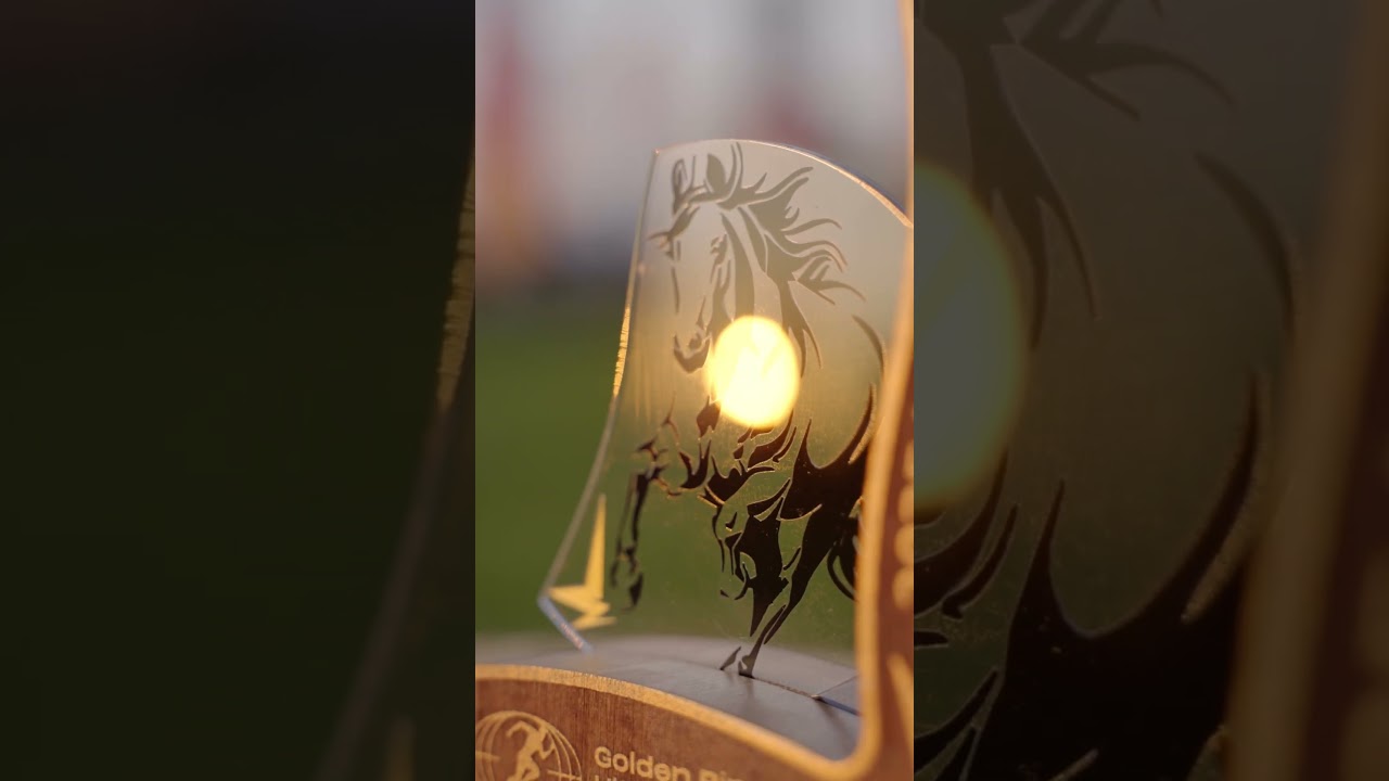 Golden Ring Ultra Trail 100 2025 кубок Insane Runner , 4 дистанции за 3 дня