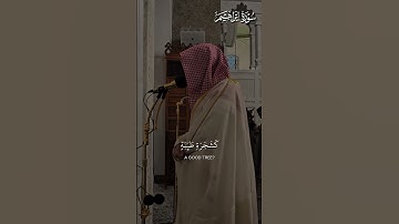ما تيسر من سورة إبراهيم | تلاوة فضيلة الشيخ د.#الوليد_الشمسان