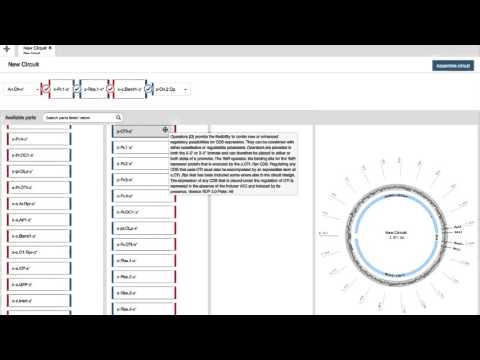 Capa de Design Tutorial - DNA Tinker Studio