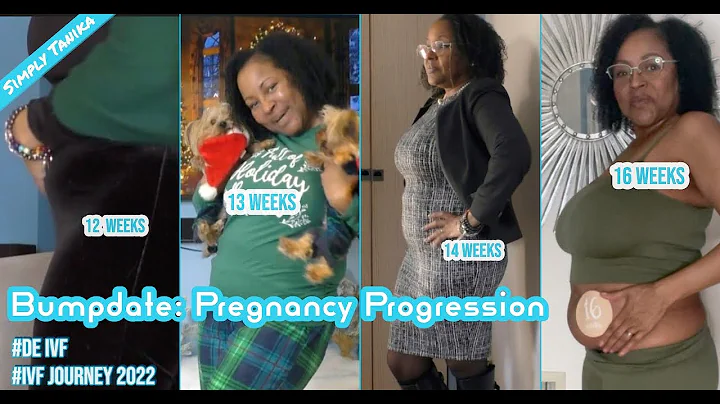 Bumpdate: Pregnancy Progression | IVF Success | Ra...