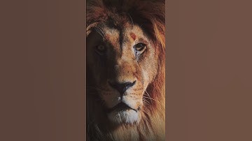 No regrets in life, just lessons learned