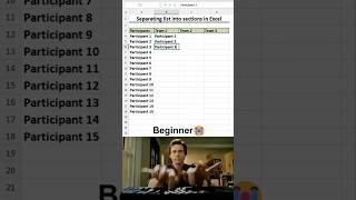 Separating List Into Sections In Excel
