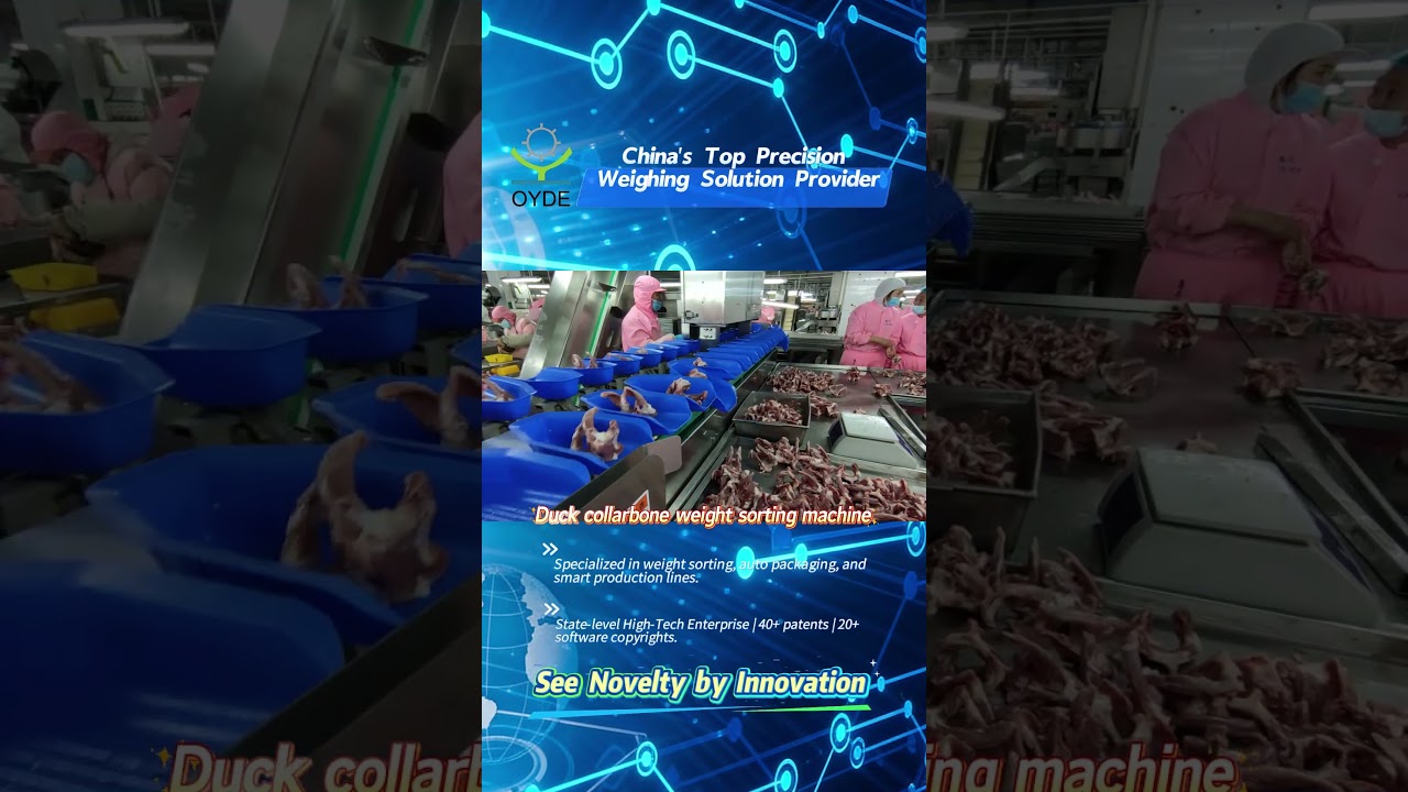 Duck collarbone weight sorting machine 