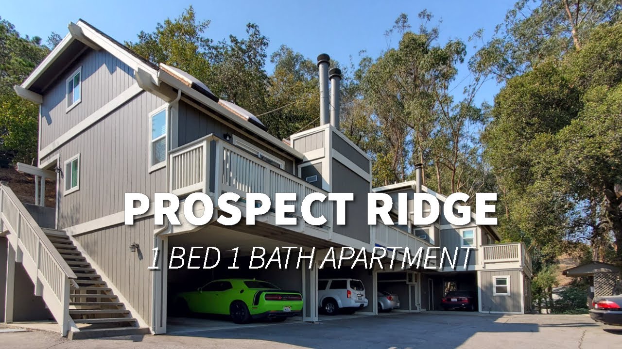 Prospect Ridge 01 1 Bed 1 Bath YouTube