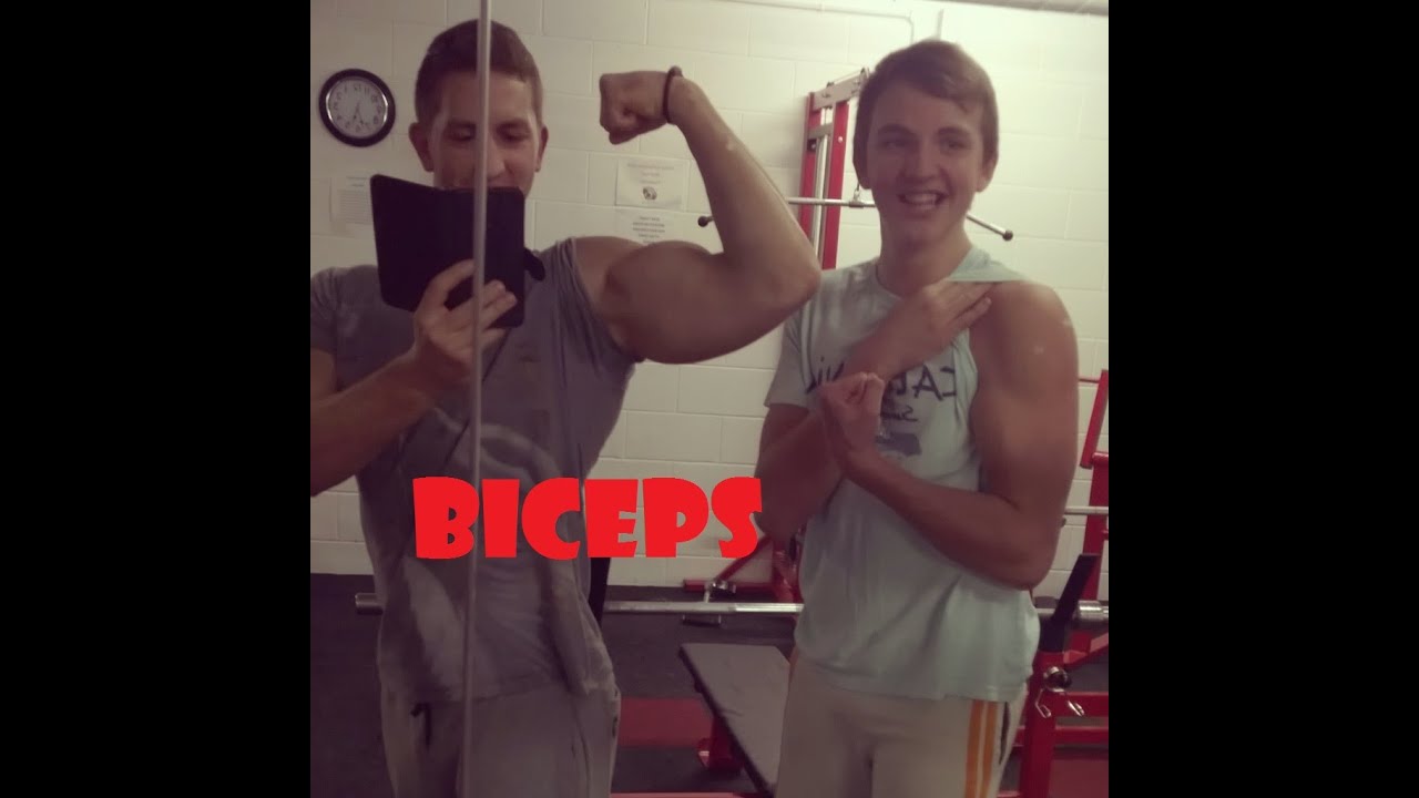big arms routine How To Get - Big Arms (Biceps)