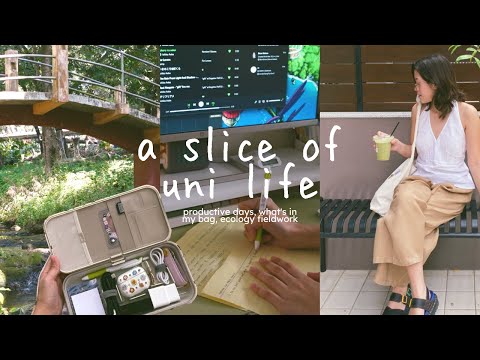 a slice of uni life 🌱📓 productive days, what's in my bag, fieldwork ft. bio friends!