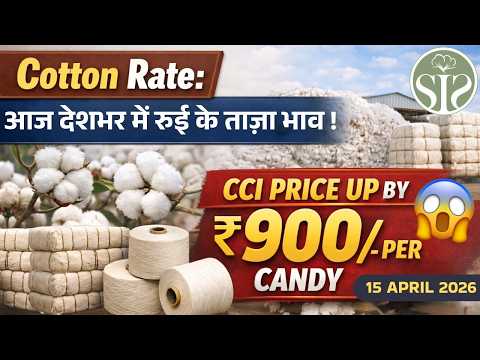 आज देशभर में रुई के ताज़ा भाव 😨 Cotton Market Price Today #kapas #youtube
