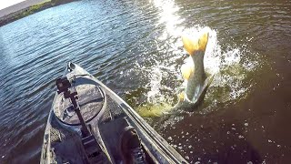 Epic Battle With A River BEAST!