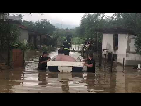 Inundatii in Timis, oameni evacuati, animale salvate